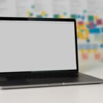 digital archive valuable