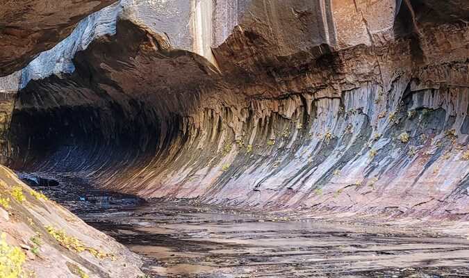 A natural rock formation resembling a canyon with flowing water at the bottom, surrounded by earthy colors and foliage.